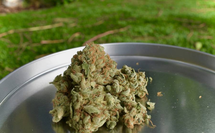 Indica aisle