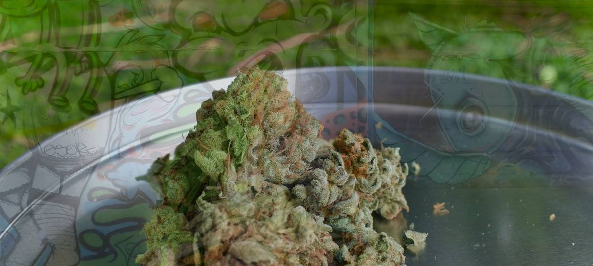 Kush and GDP nights
